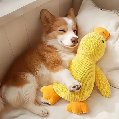 Canard Increvable™ – Pour un chien plus serein, heureux et occupé pendant des heures