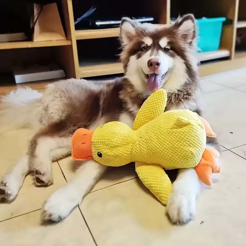 Canard Increvable™ – Pour un chien plus serein, heureux et occupé pendant des heures
