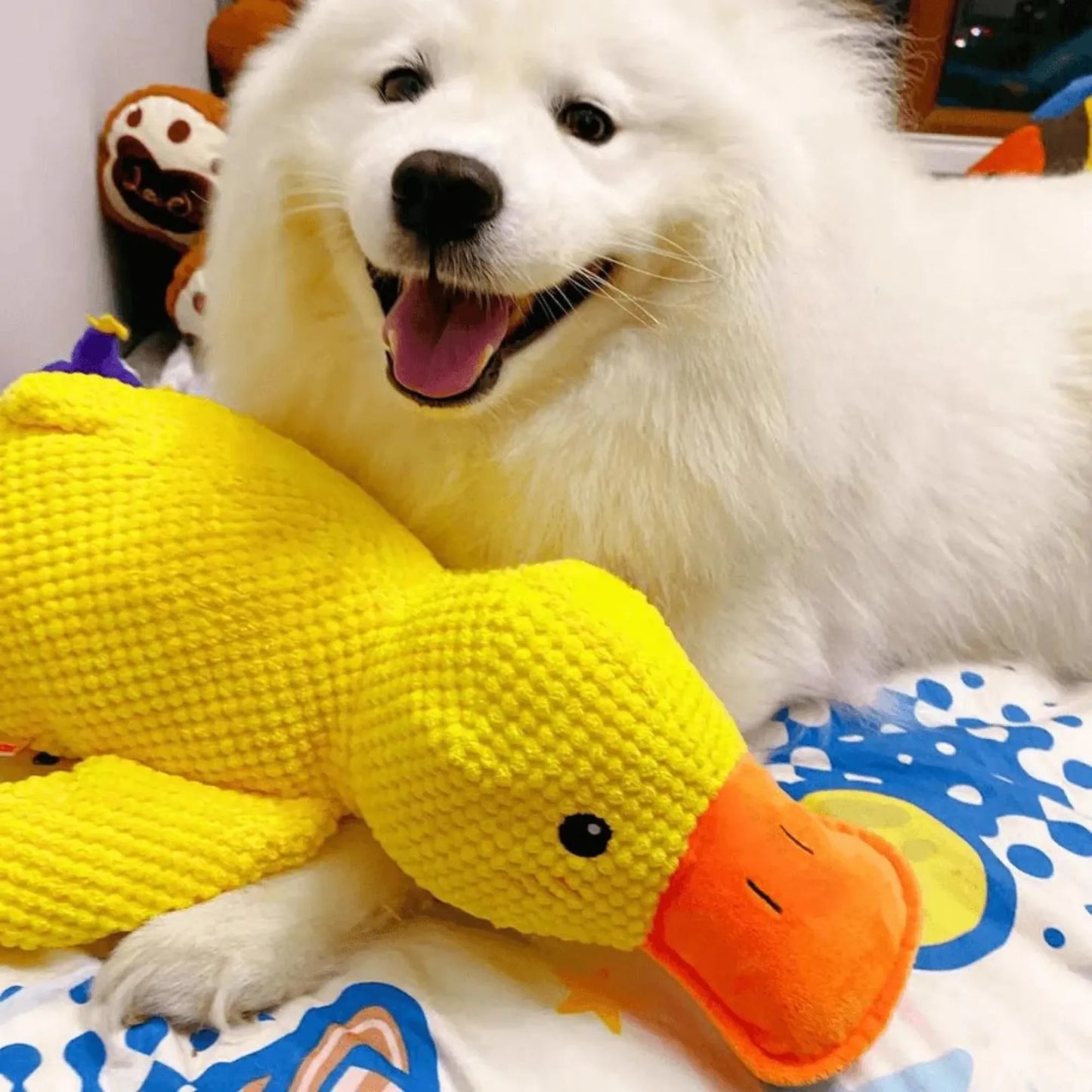 Canard Increvable™ – Pour un chien plus serein, heureux et occupé pendant des heures