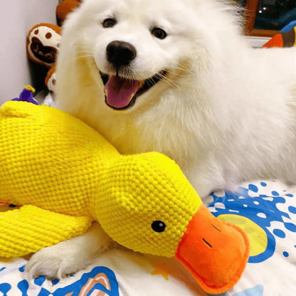 Canard Increvable™ – Pour un chien plus serein, heureux et occupé pendant des heures