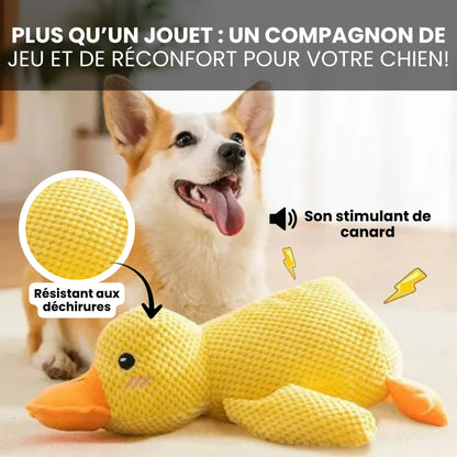 Canard Increvable™ – Pour un chien plus serein, heureux et occupé pendant des heures