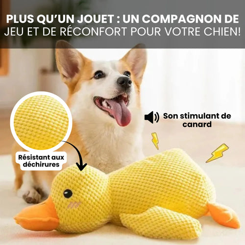 Canard Increvable™ – Pour un chien plus serein, heureux et occupé pendant des heures