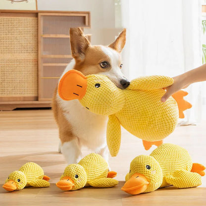 Canard Increvable™ – Pour un chien plus serein, heureux et occupé pendant des heures