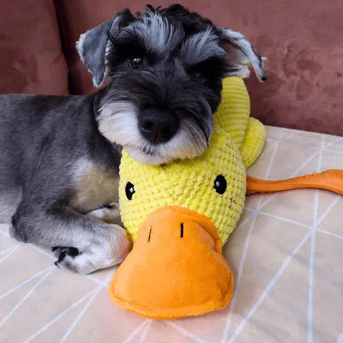 Canard Increvable™ – Pour un chien plus serein, heureux et occupé pendant des heures