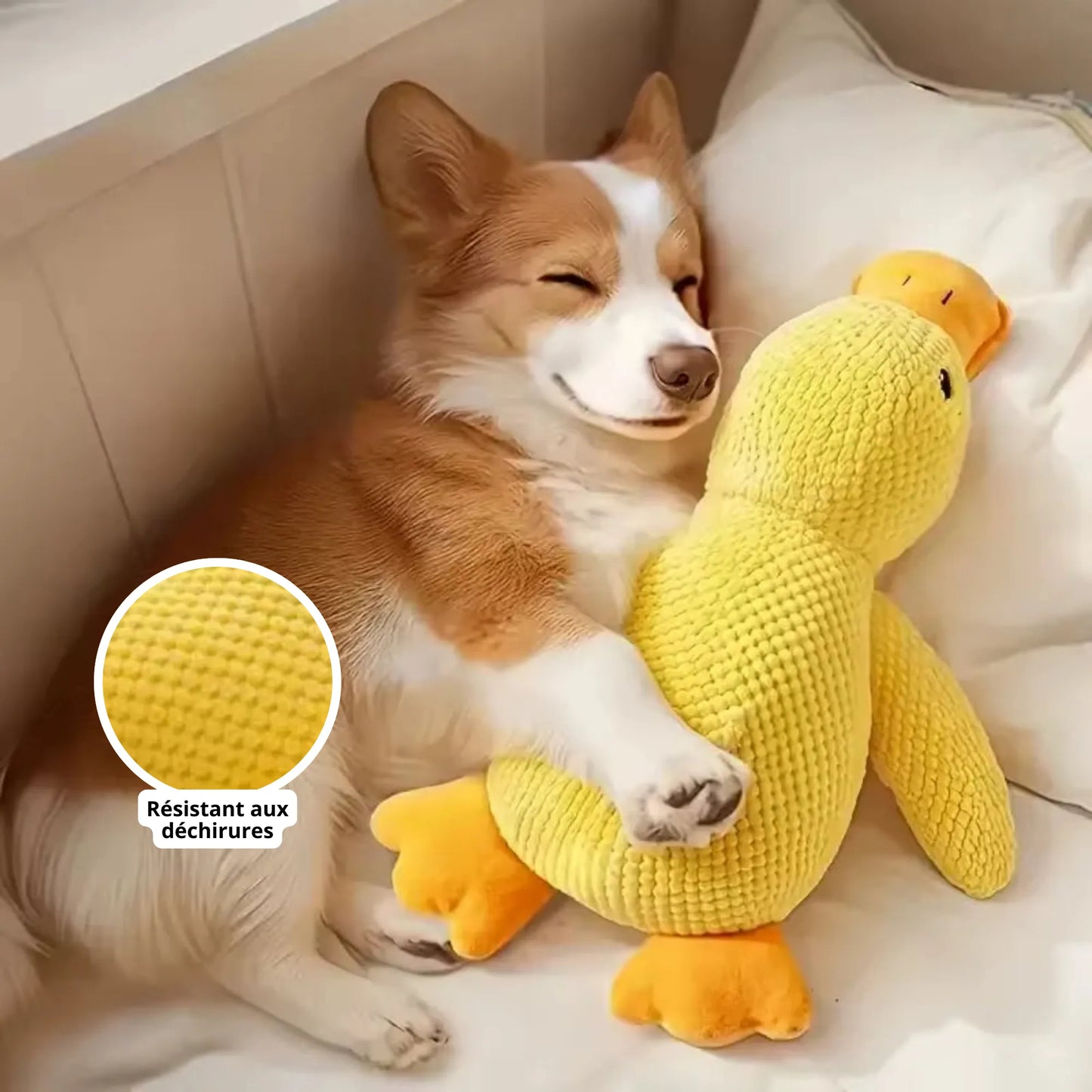 Canard Increvable™ – Pour un chien plus serein, heureux et occupé pendant des heures