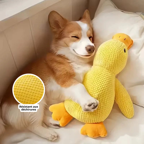 Canard Increvable™ – Pour un chien plus serein, heureux et occupé pendant des heures
