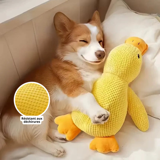 Canard Increvable™ – Pour un chien plus serein, heureux et occupé pendant des heures