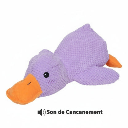 Canard Increvable™ – Pour un chien plus serein, heureux et occupé pendant des heures