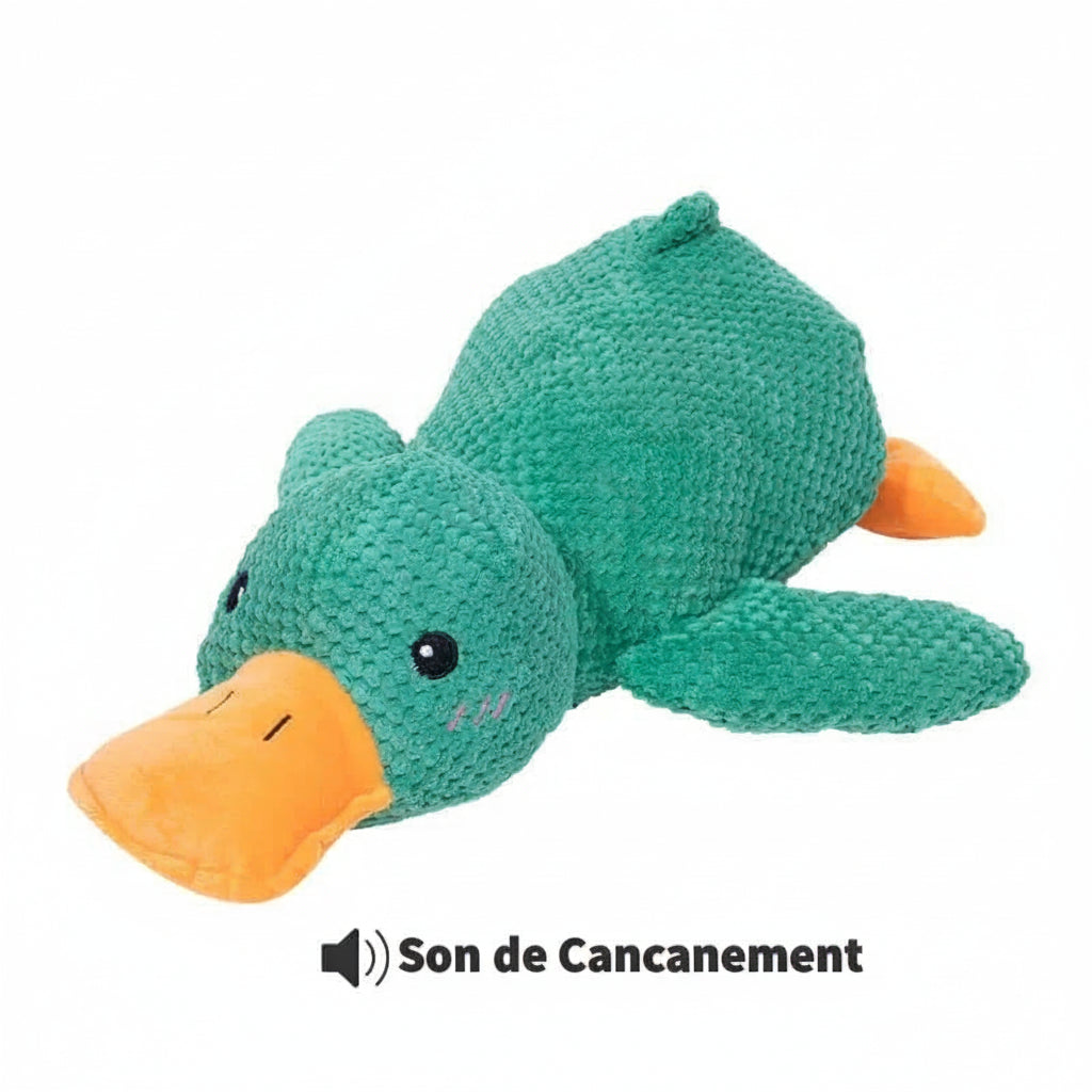 Canard Increvable™ – Pour un chien plus serein, heureux et occupé pendant des heures