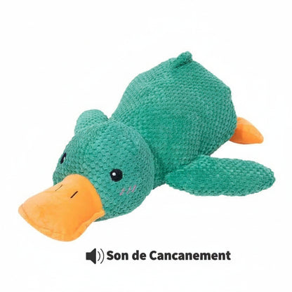 Canard Increvable™ – Pour un chien plus serein, heureux et occupé pendant des heures